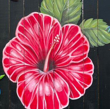 Hibiscus Mural Mural painting in New Smyrna Beach and Edgewater, FL by Kacie Tackett